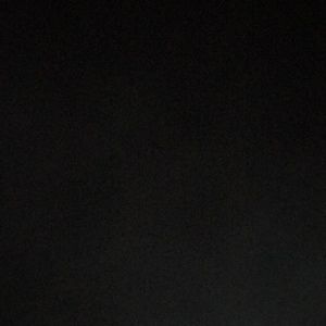 Meet your Posher, Natasha